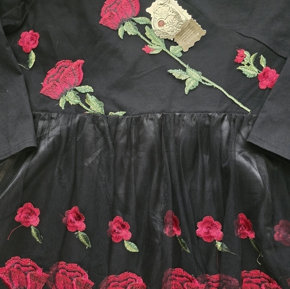 Roiii Off Shoulder Sheer Dress Womens Black & Roses 1950s Whimsgoth New - Picture 4 of 16